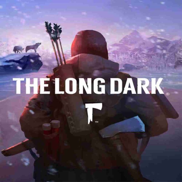 The Long Dark - PC