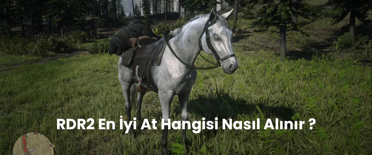 rdr2 en iyi at