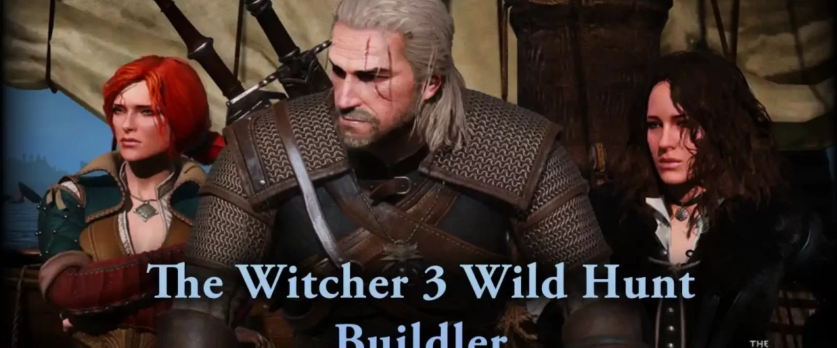 The Witcher 3 Karakter Gelişimi, The Witcher 3 Buildler